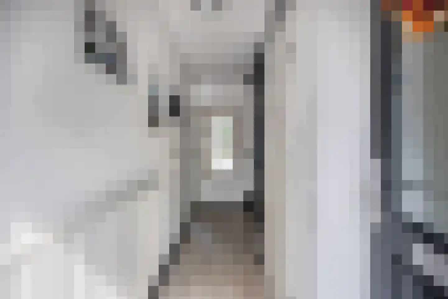 Eierlanden 100 Huizen thumbnail 4