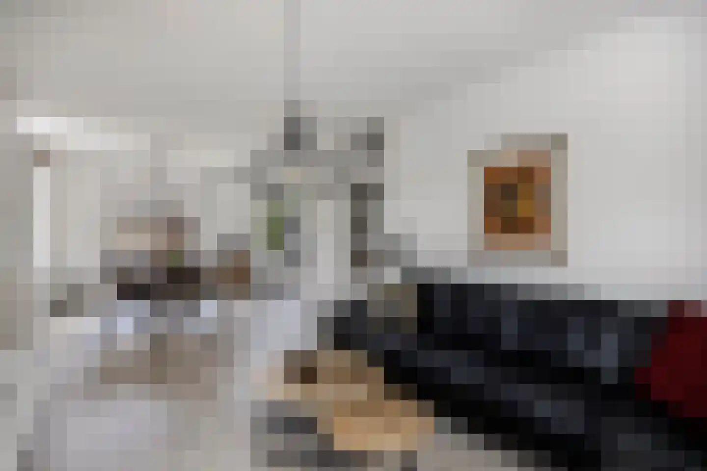 Eierlanden 100 Huizen thumbnail 6