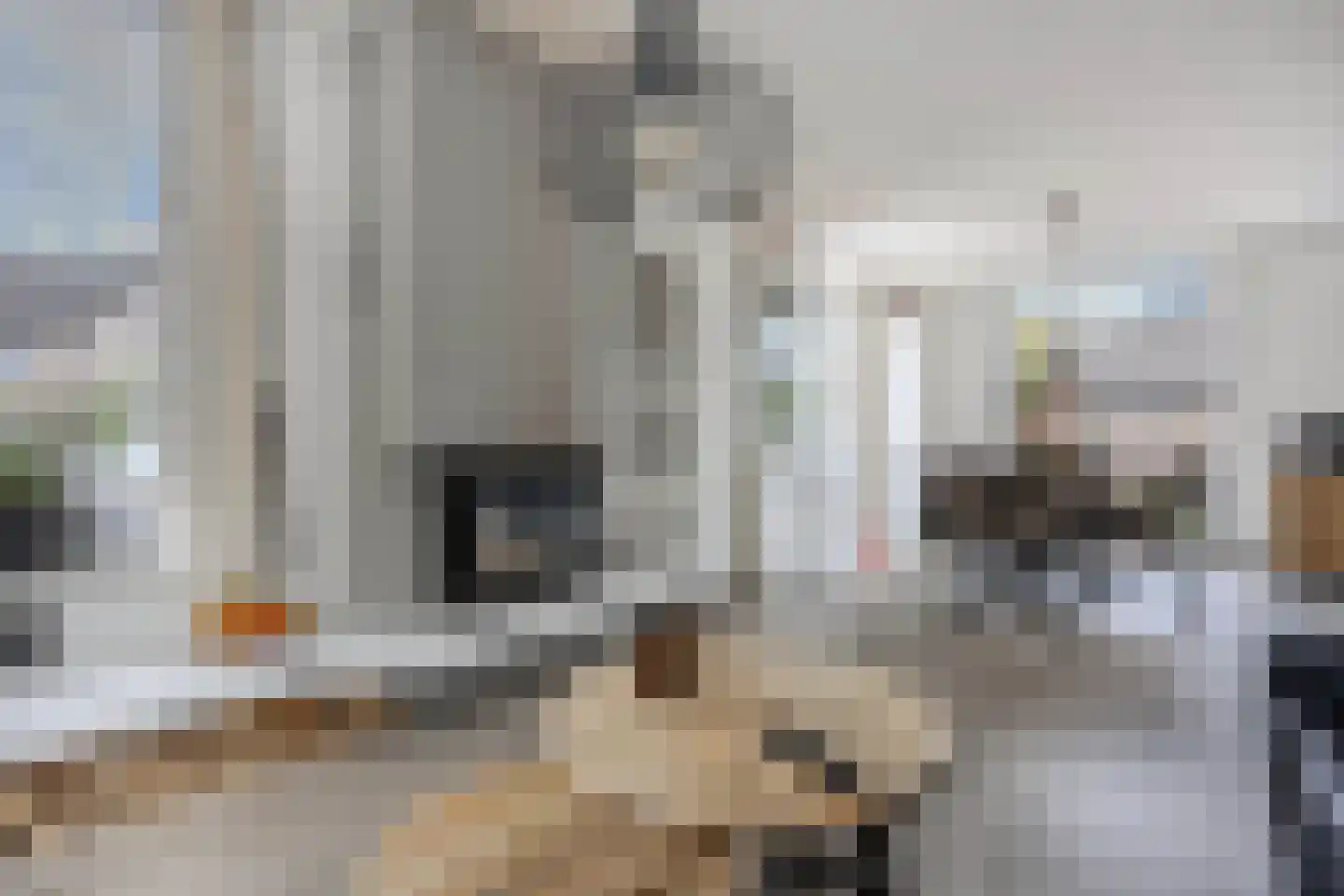 Eierlanden 100 Huizen thumbnail 7