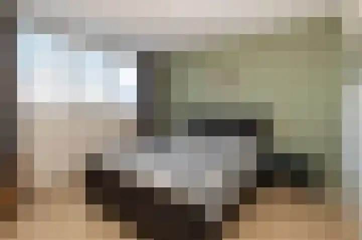 Eierlanden 106 Huizen thumbnail 18