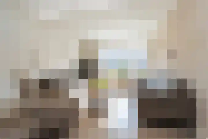 Eierlanden 106 Huizen thumbnail 6
