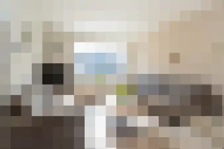 Eierlanden 106 Huizen thumbnail 7