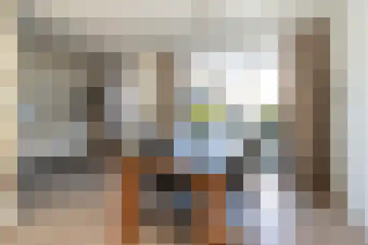 Eierlanden 106 Huizen thumbnail 8