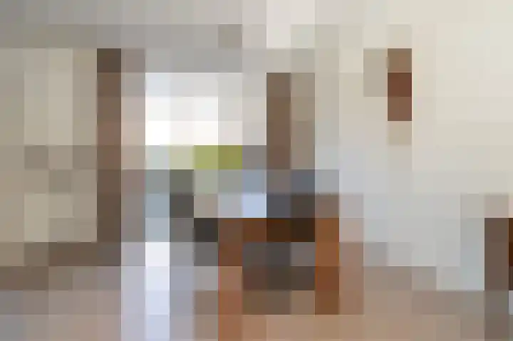 Eierlanden 106 Huizen thumbnail 9