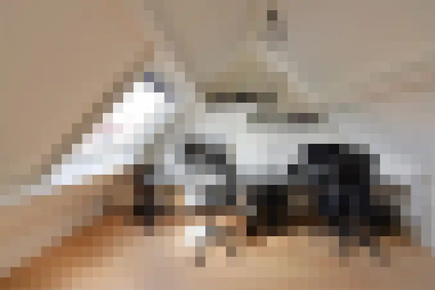 Eierlanden 3 Huizen thumbnail 10