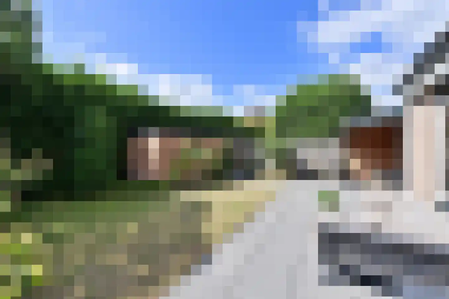 Eierlanden 3 Huizen thumbnail 13