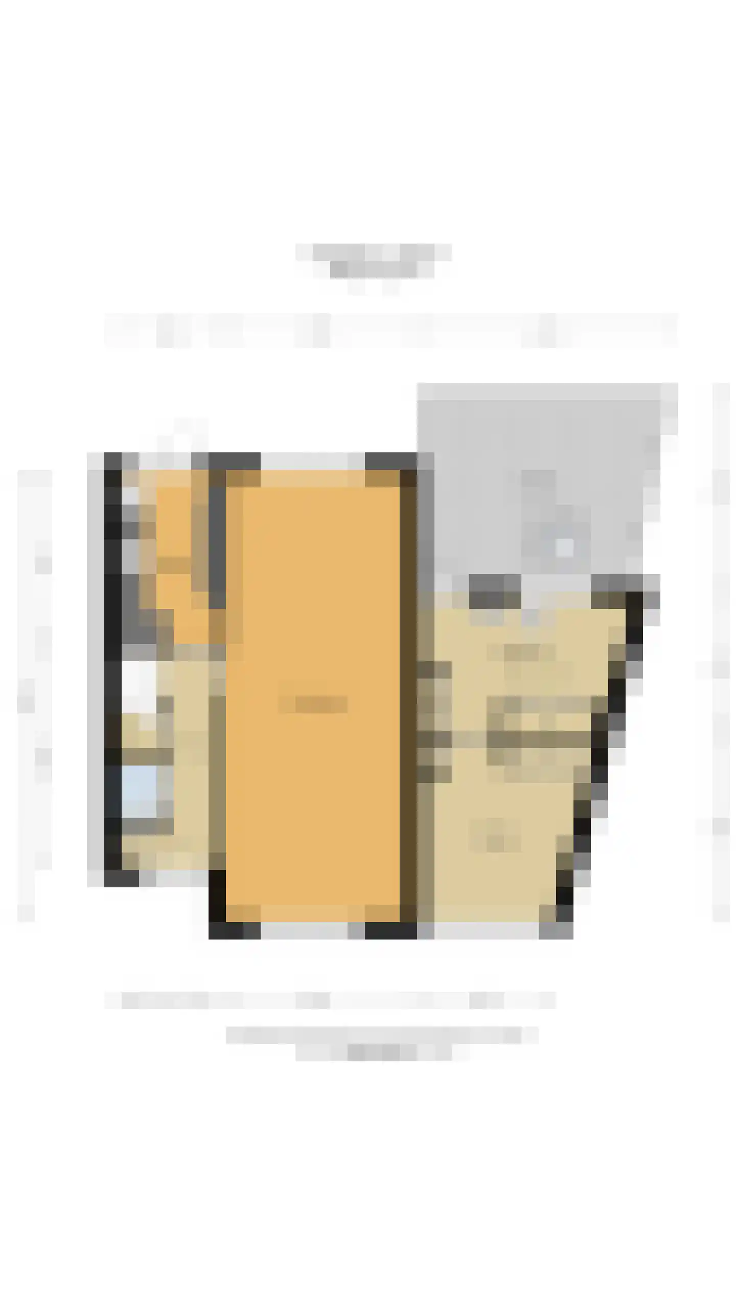 Eierlanden 3 Huizen thumbnail 16