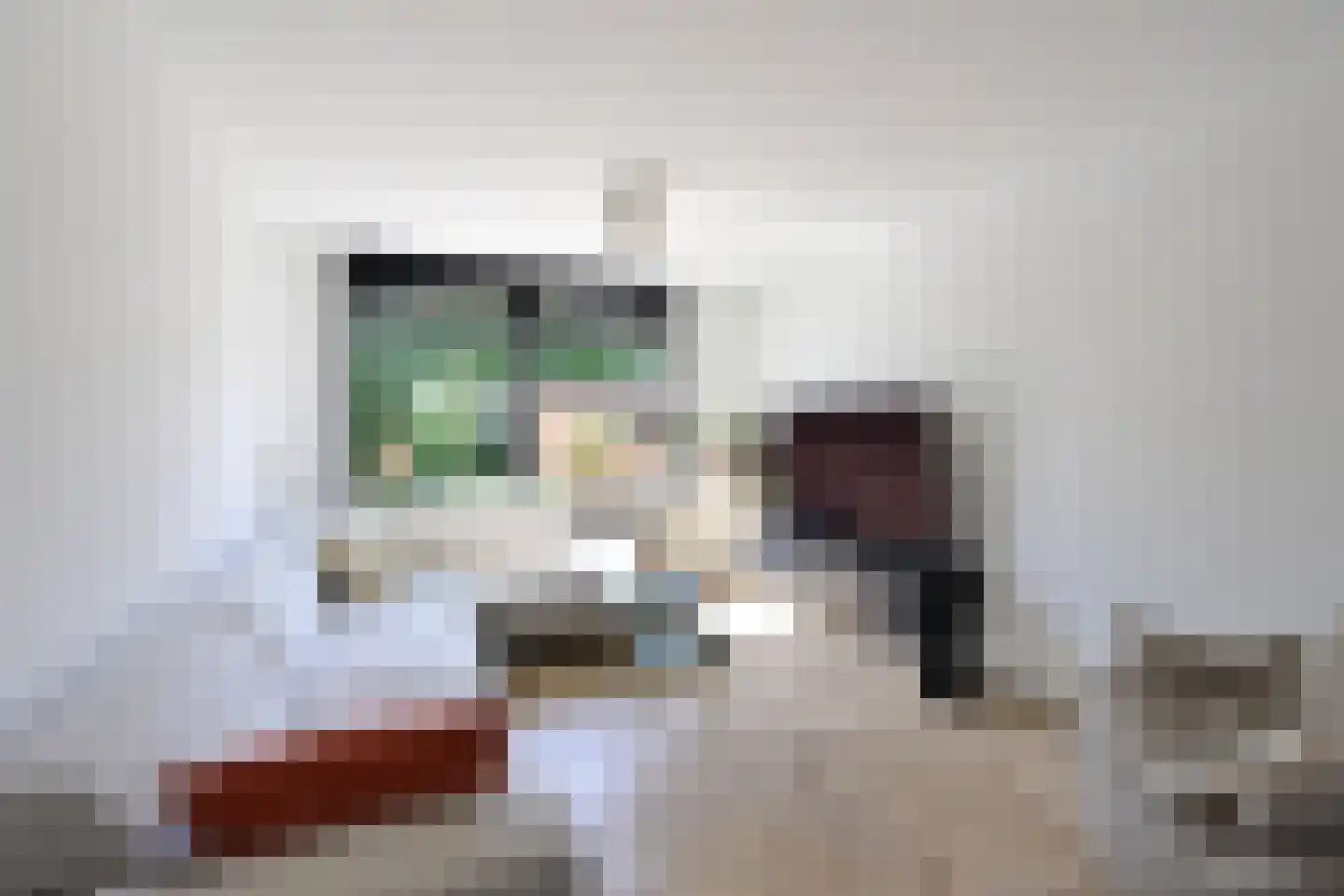 Eierlanden 3 Huizen thumbnail 4