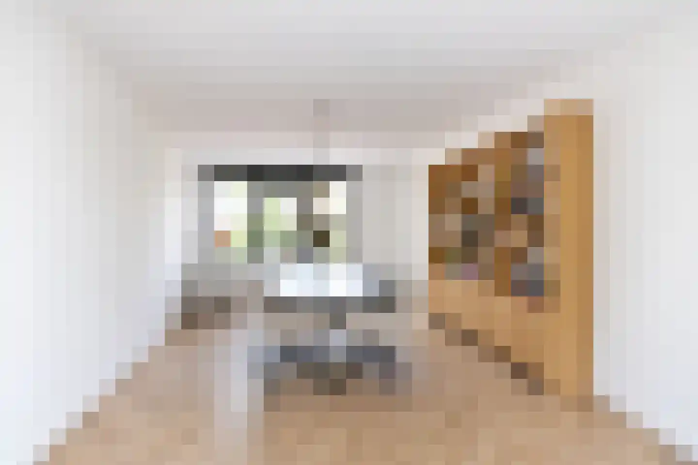 Eierlanden 3 Huizen thumbnail 4
