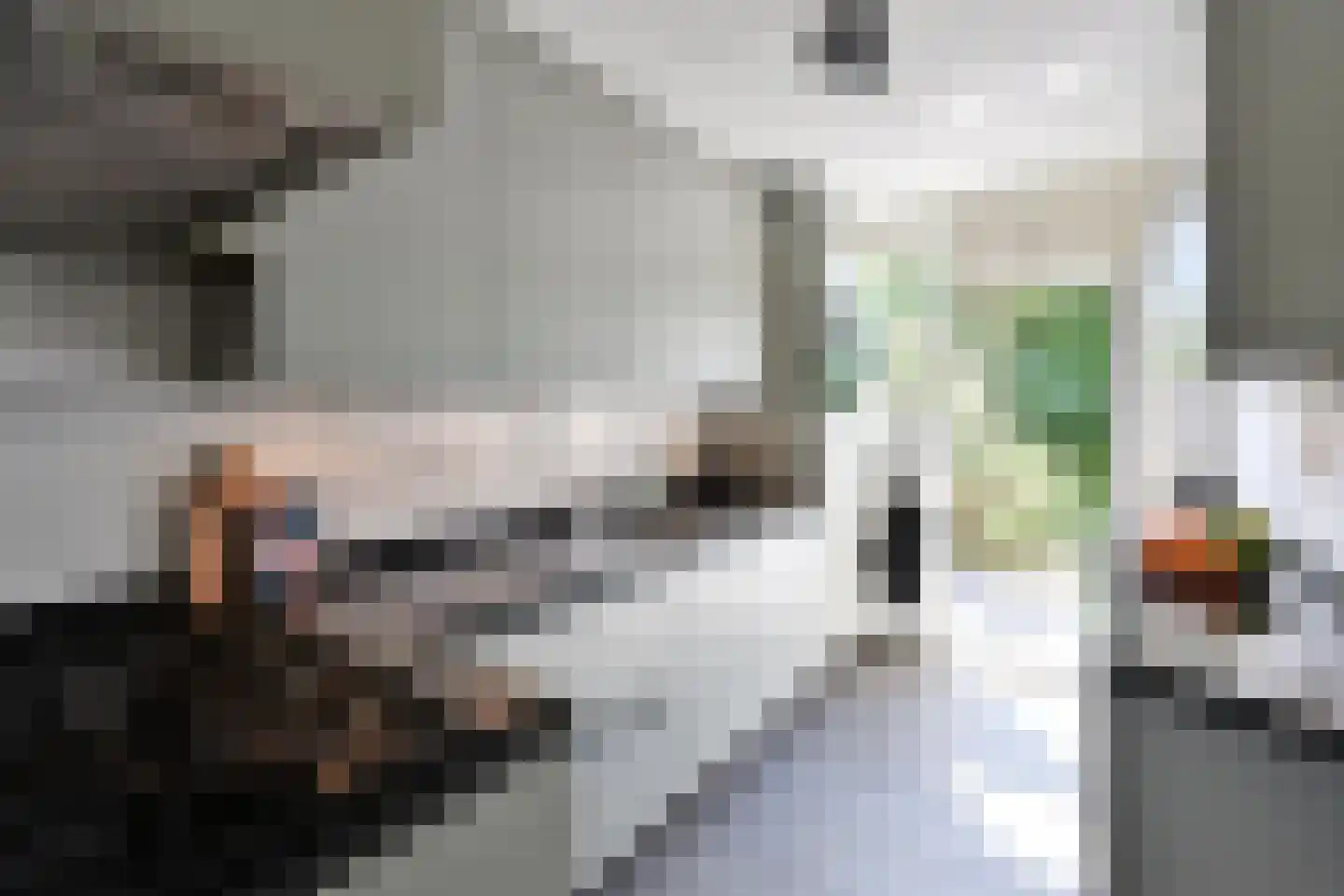 Eierlanden 3 Huizen thumbnail 5