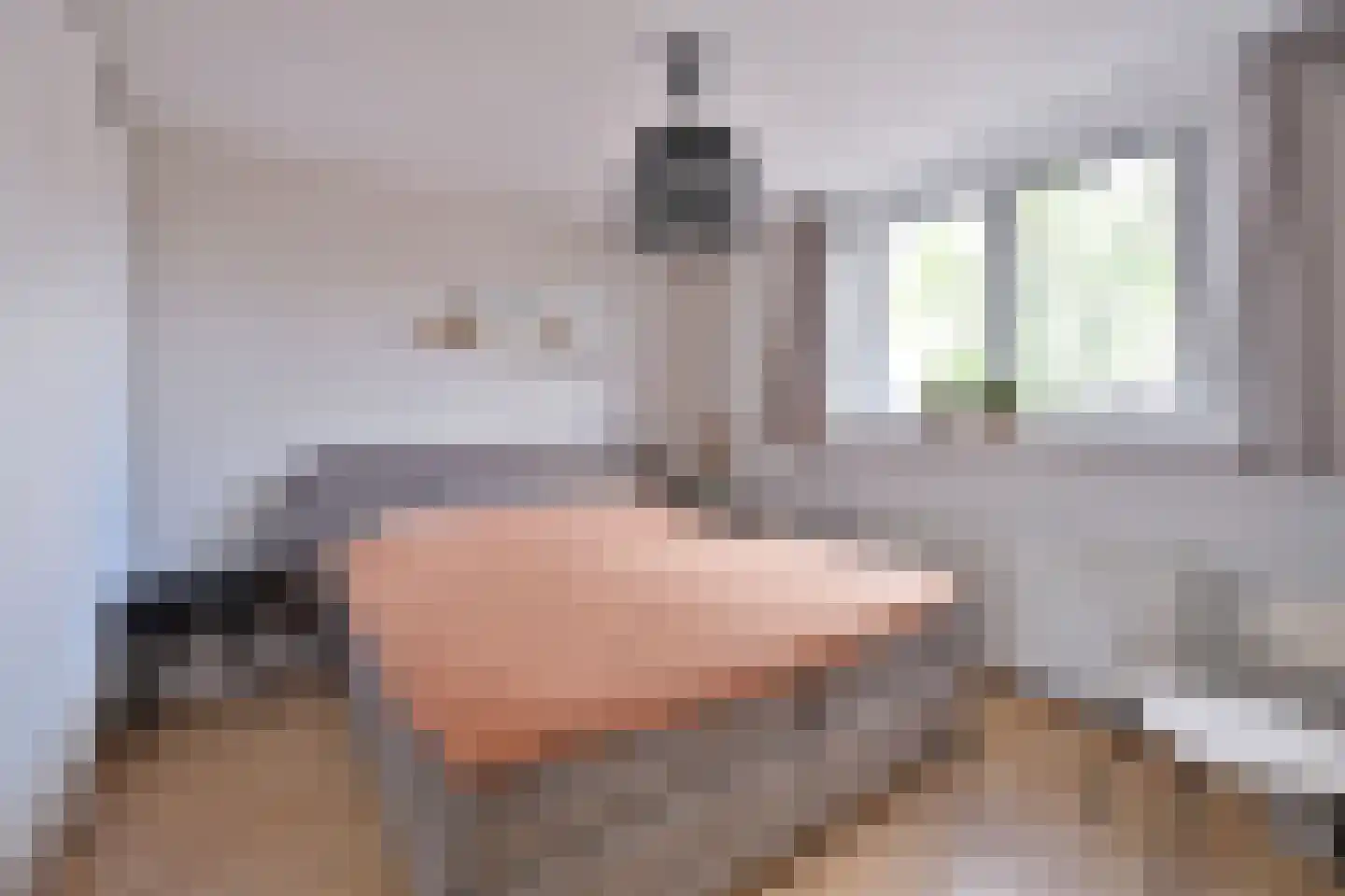 Eierlanden 3 Huizen thumbnail 6