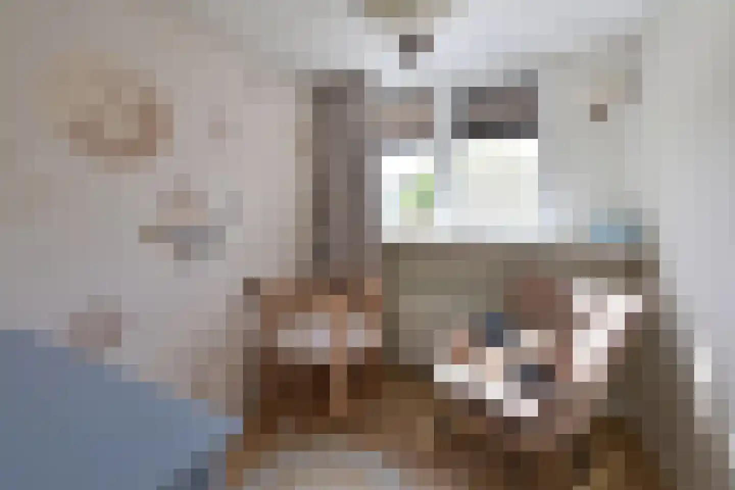 Eierlanden 3 Huizen thumbnail 7