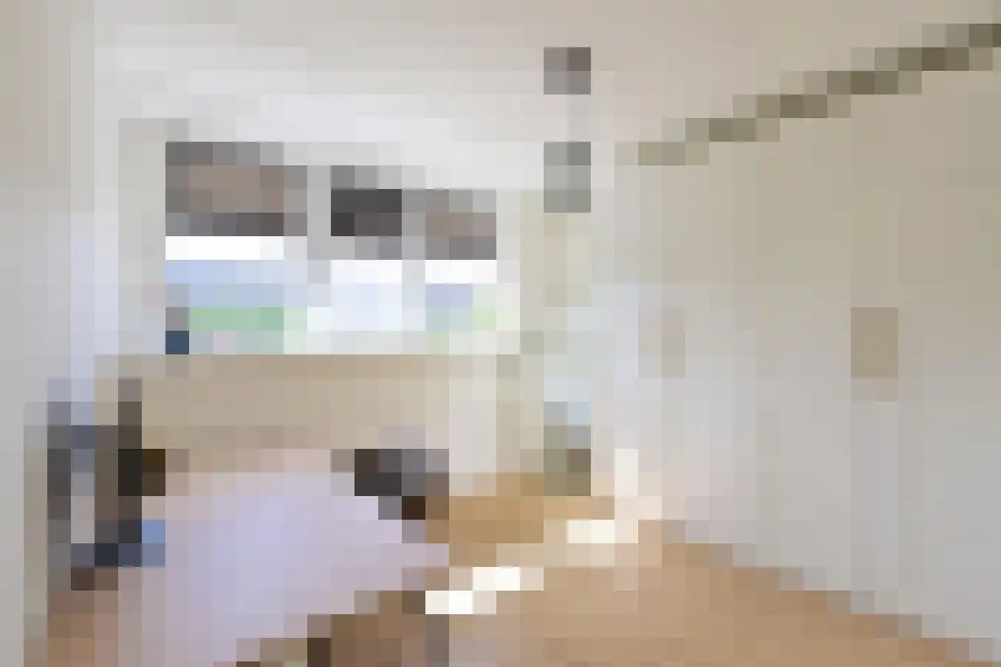 Eierlanden 3 Huizen thumbnail 8