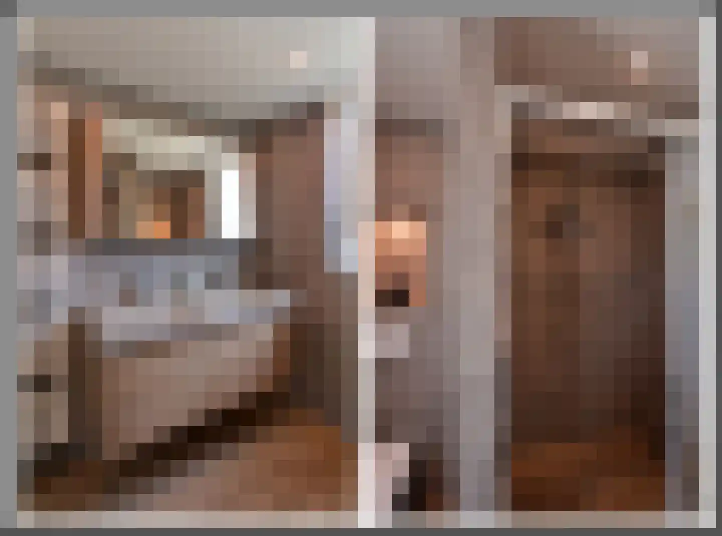 Eierlanden 3 Huizen thumbnail 9