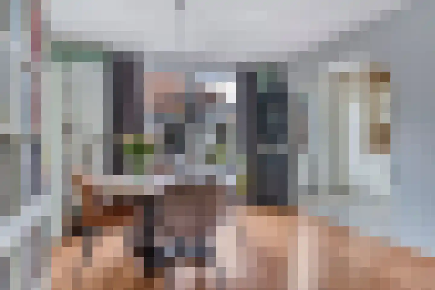 Eierlanden 47 Huizen thumbnail 5