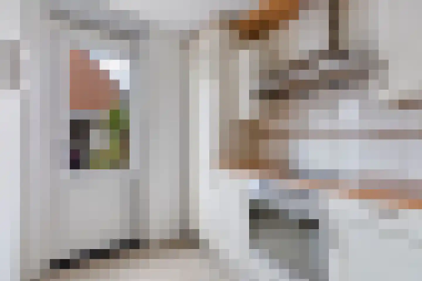 Eierlanden 47 Huizen thumbnail 9