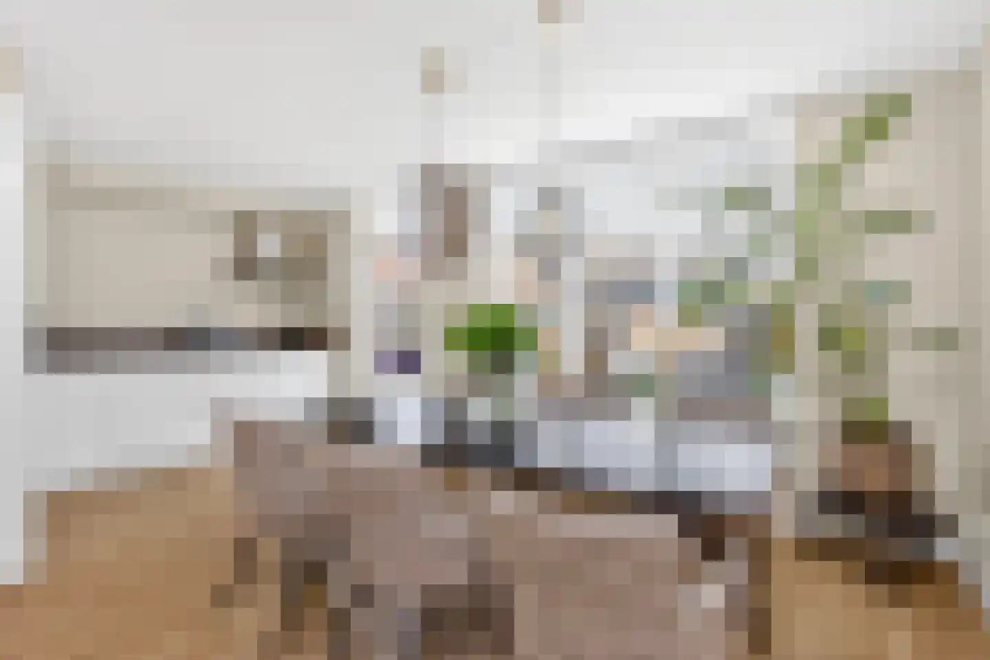 Eierlanden 64 Huizen thumbnail 10
