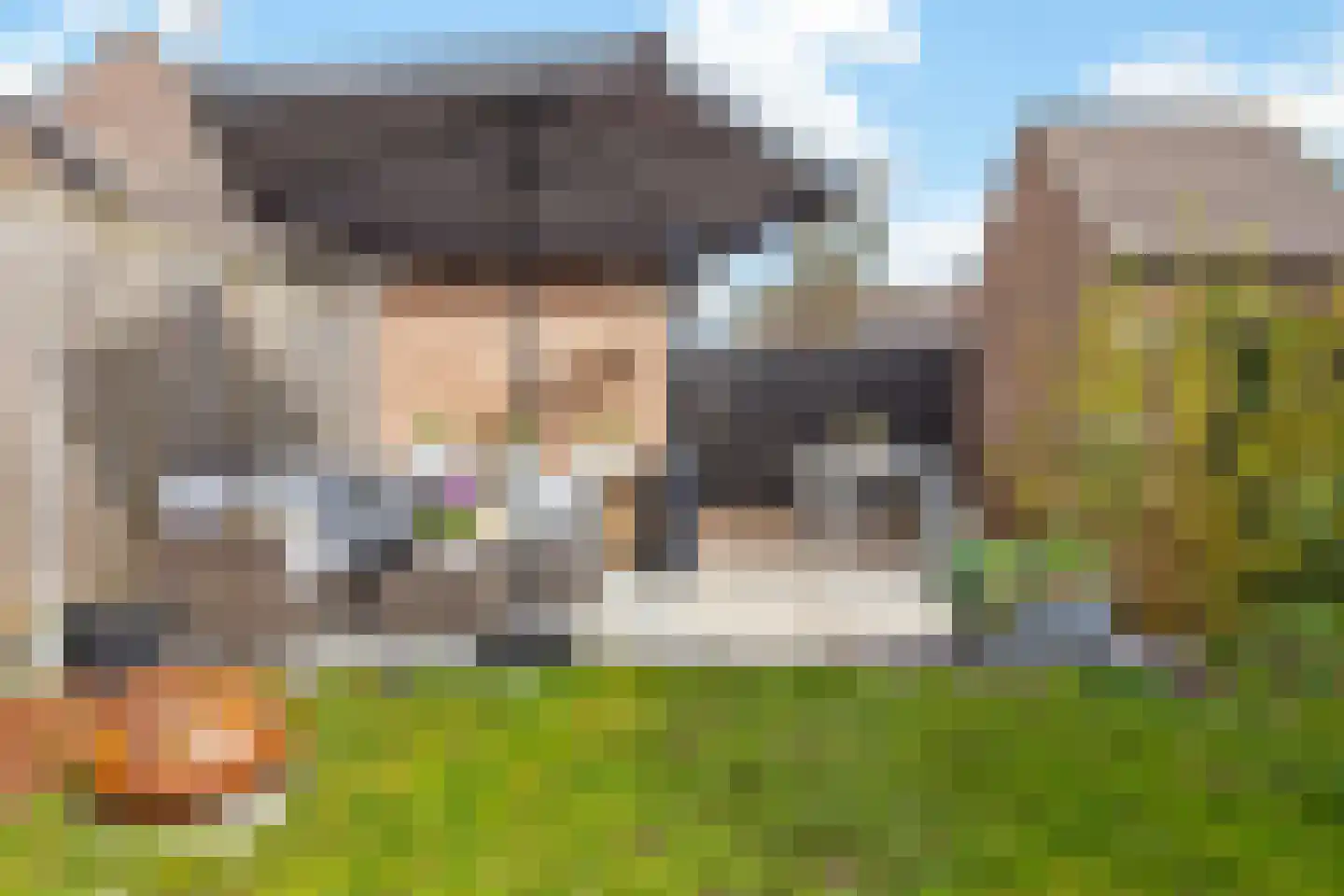 Eierlanden 64 Huizen thumbnail 15
