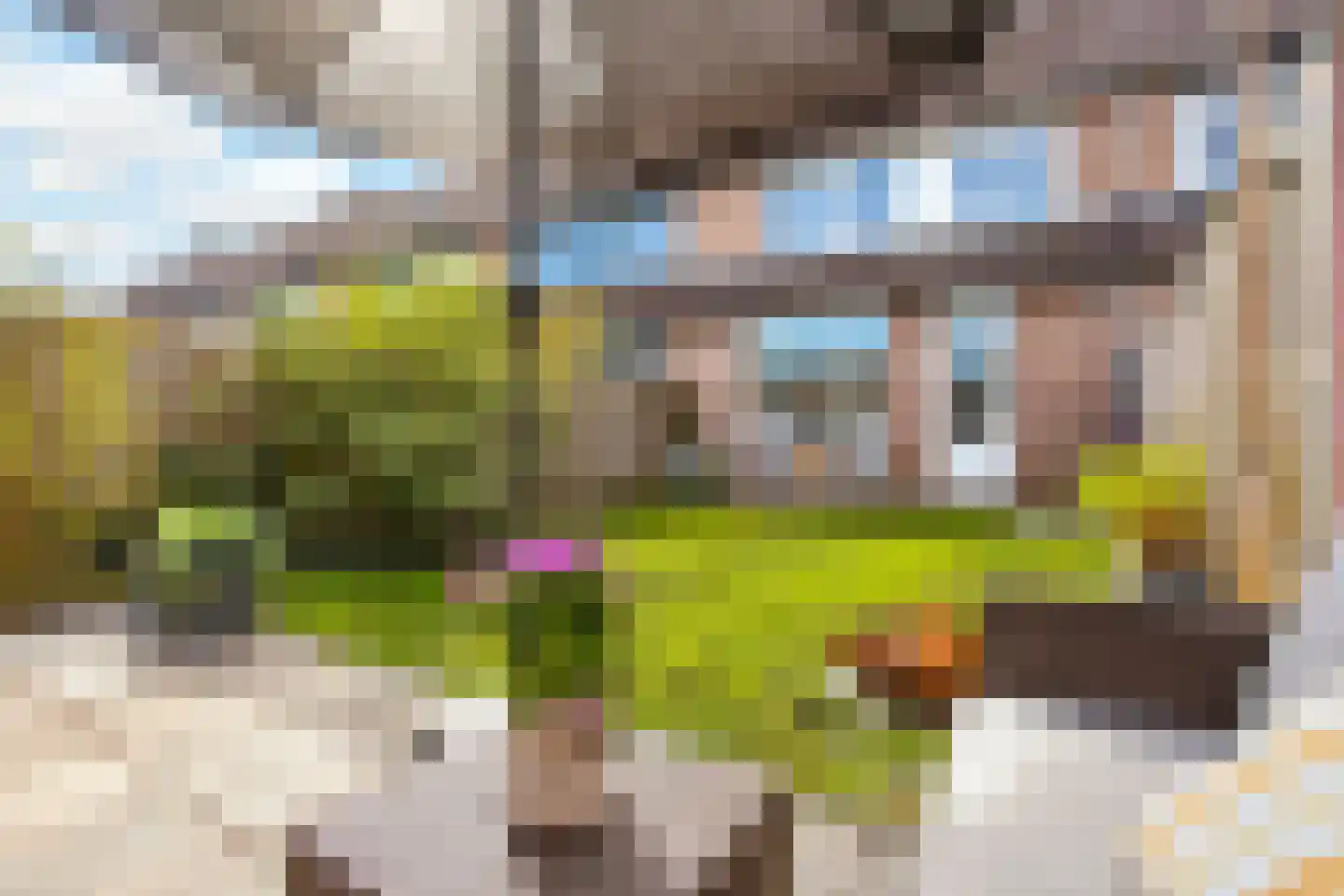 Eierlanden 64 Huizen thumbnail 17