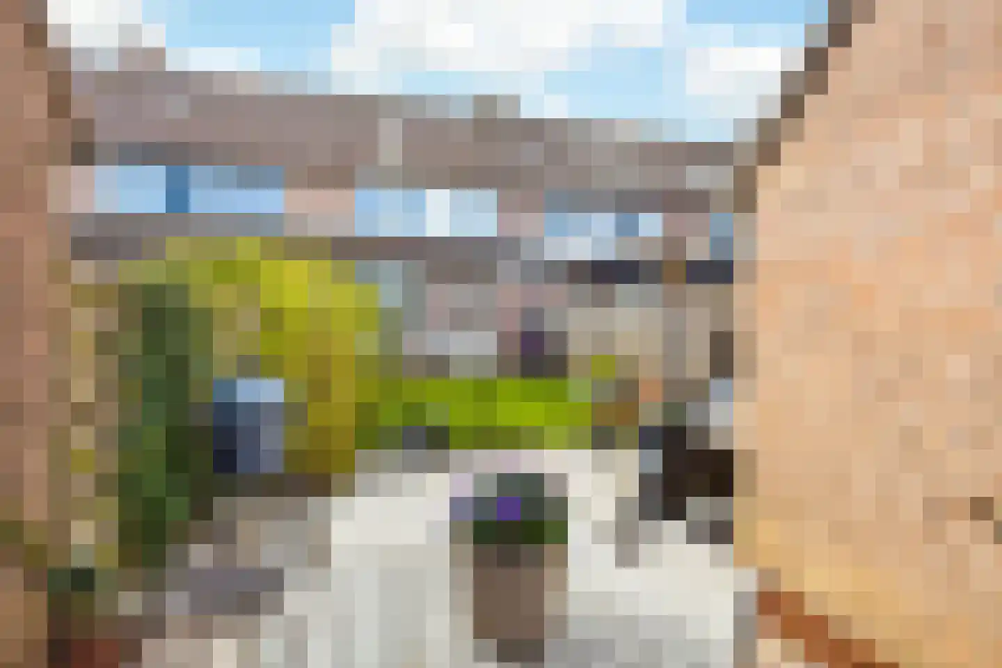 Eierlanden 64 Huizen thumbnail 18
