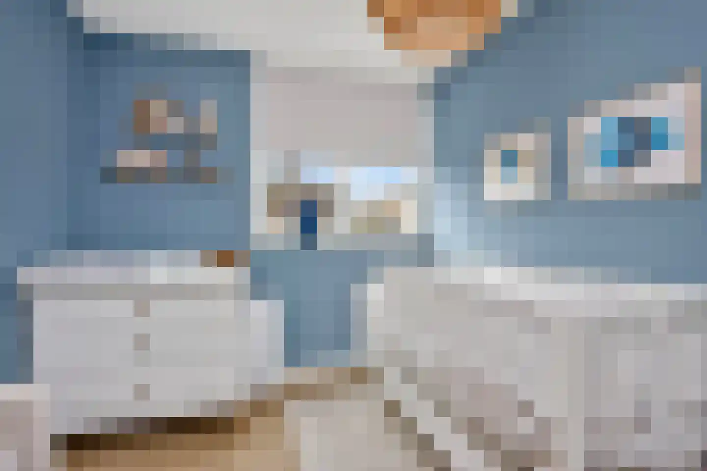 Eierlanden 64 Huizen thumbnail 25
