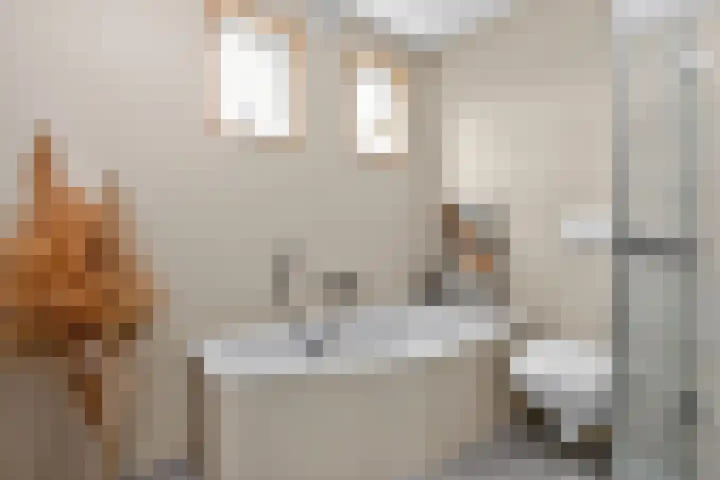 Eierlanden 64 Huizen thumbnail 29