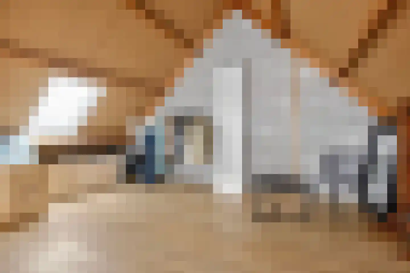 Eierlanden 64 Huizen thumbnail 31