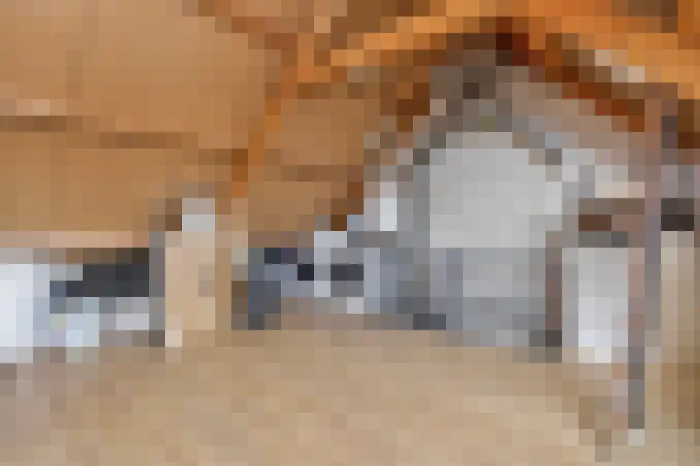 Eierlanden 64 Huizen thumbnail 32
