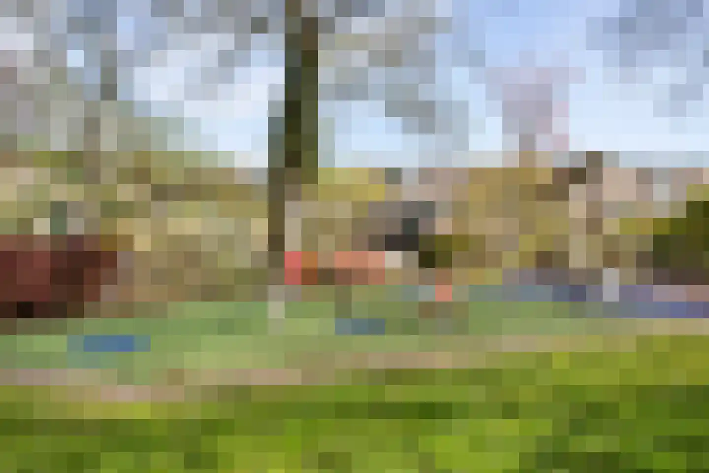Eierlanden 64 Huizen thumbnail 33