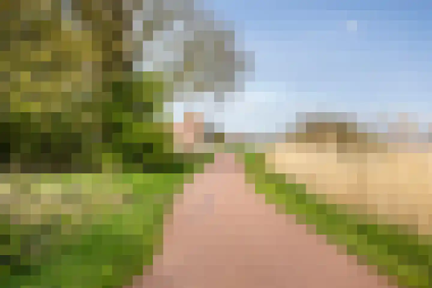 Eierlanden 64 Huizen thumbnail 35