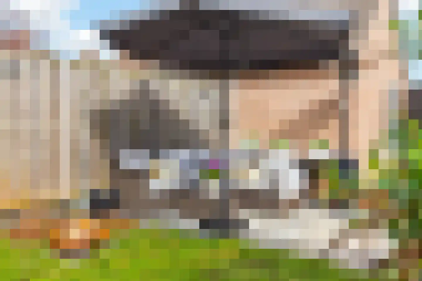 Eierlanden 64 Huizen thumbnail 4