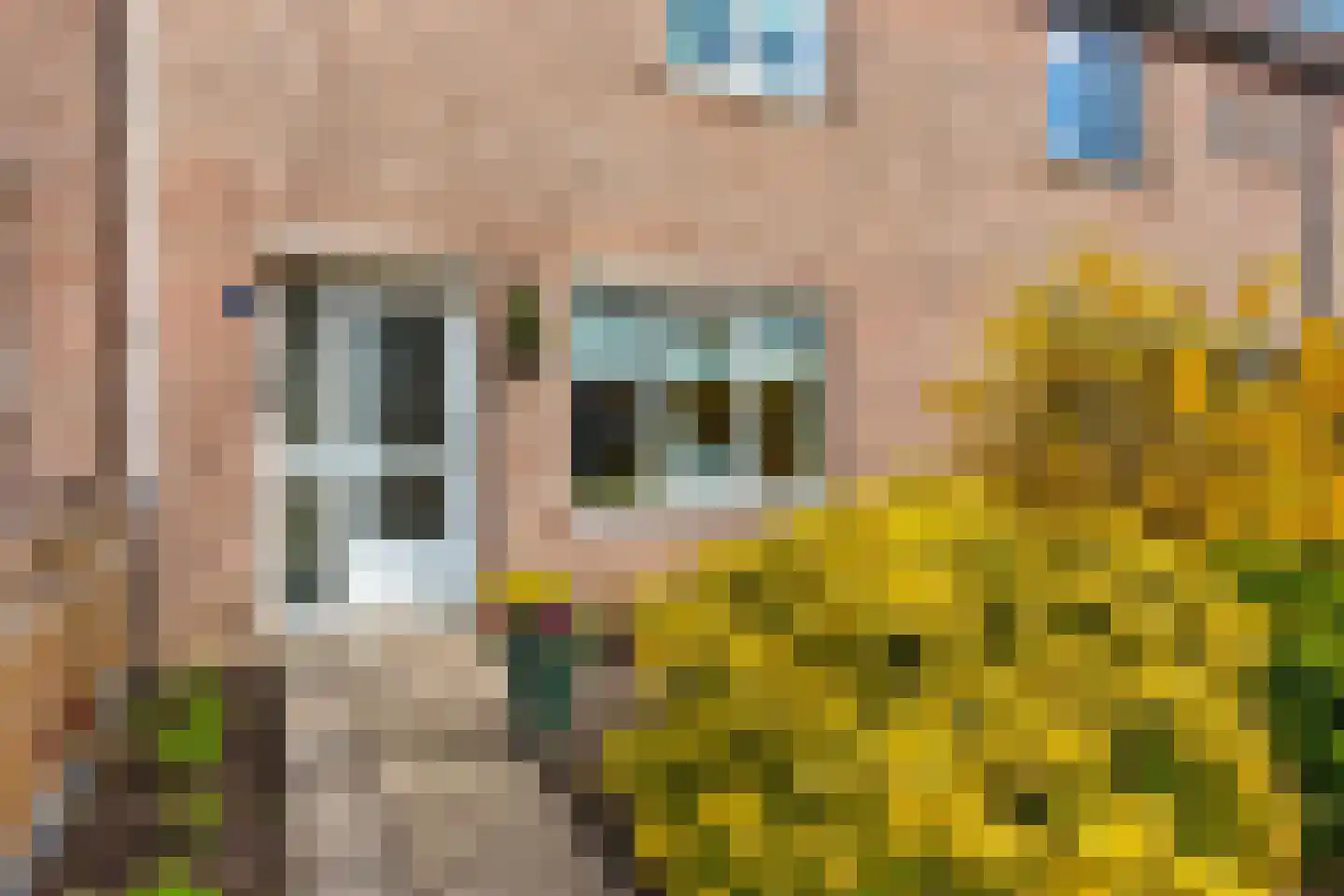 Eierlanden 64 Huizen thumbnail 5