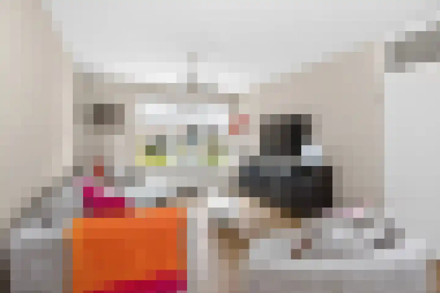 Eierlanden 64 Huizen thumbnail 8