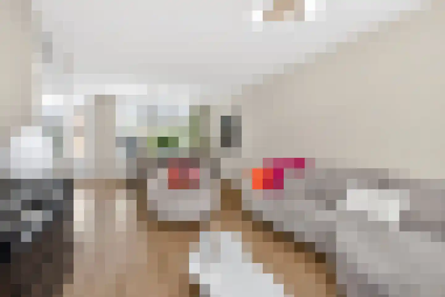 Eierlanden 64 Huizen thumbnail 9