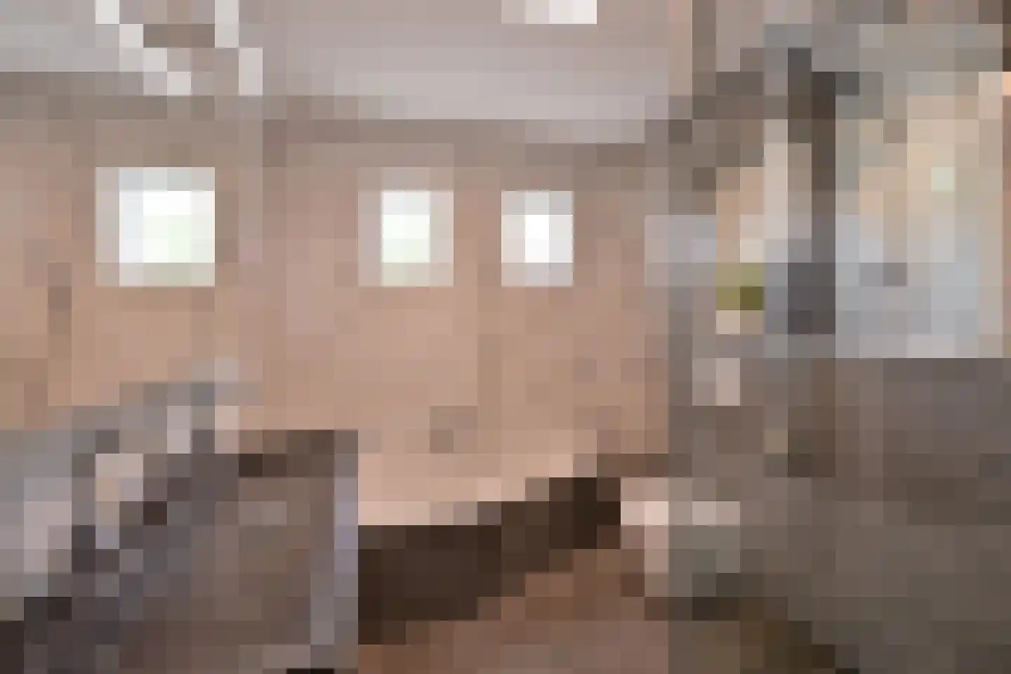 Eierlanden 69 Huizen thumbnail 14