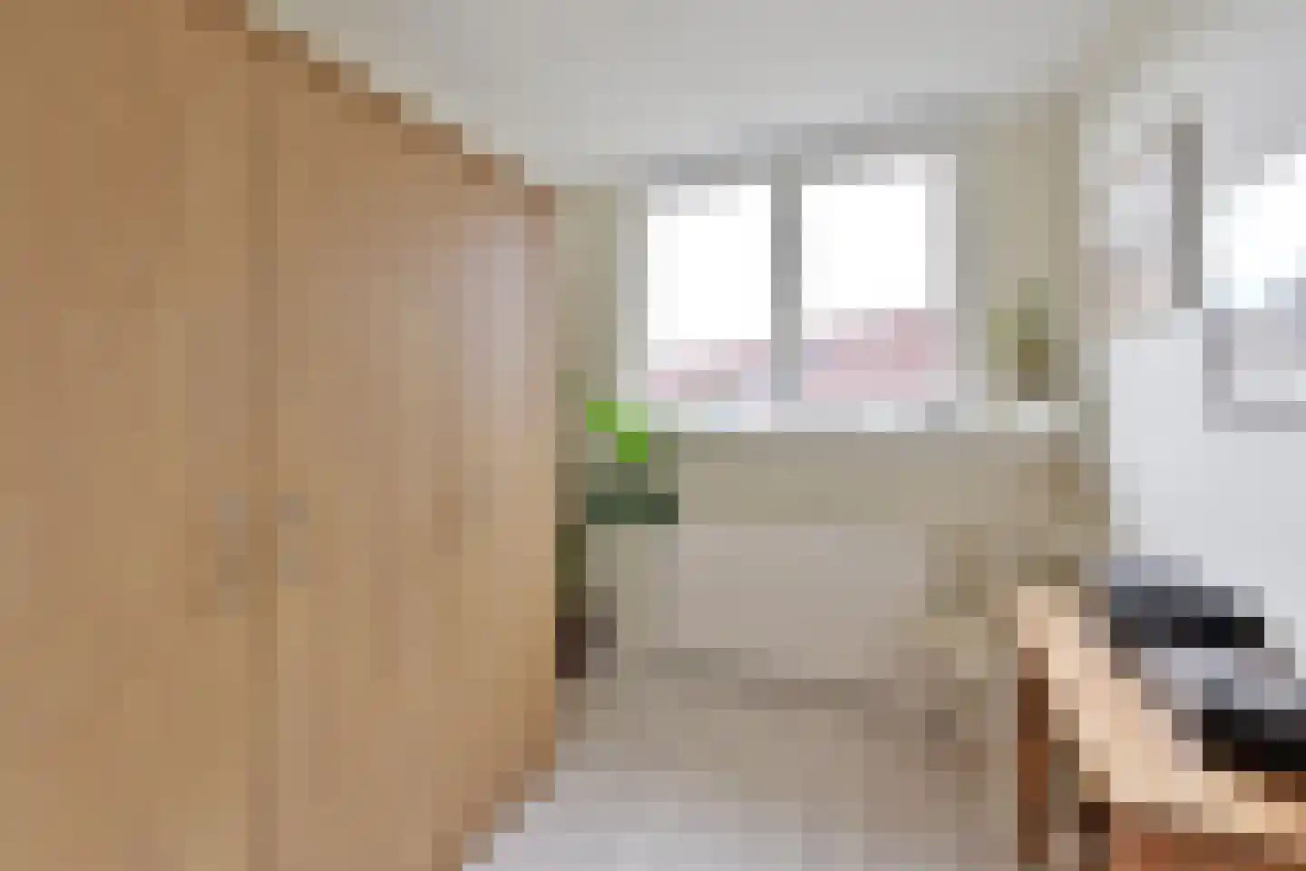 Eierlanden 69 Huizen thumbnail 16
