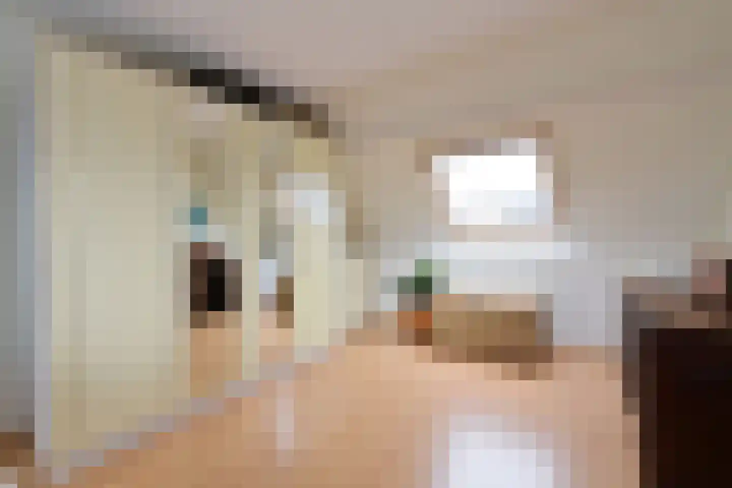 Eierlanden 69 Huizen thumbnail 19