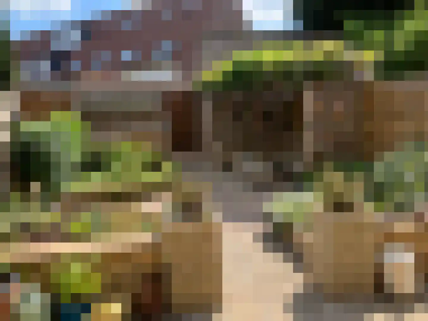 Eierlanden 69 Huizen thumbnail 22