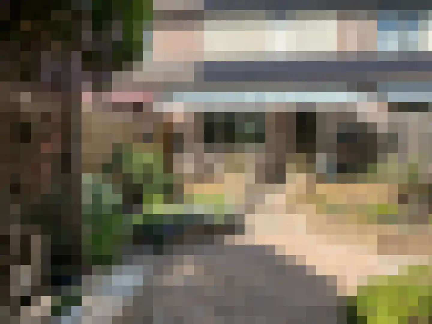 Eierlanden 69 Huizen thumbnail 23
