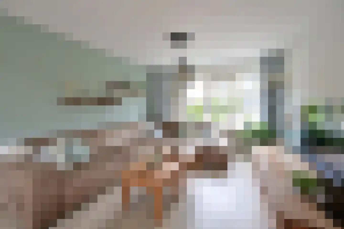 Eierlanden 69 Huizen thumbnail 4