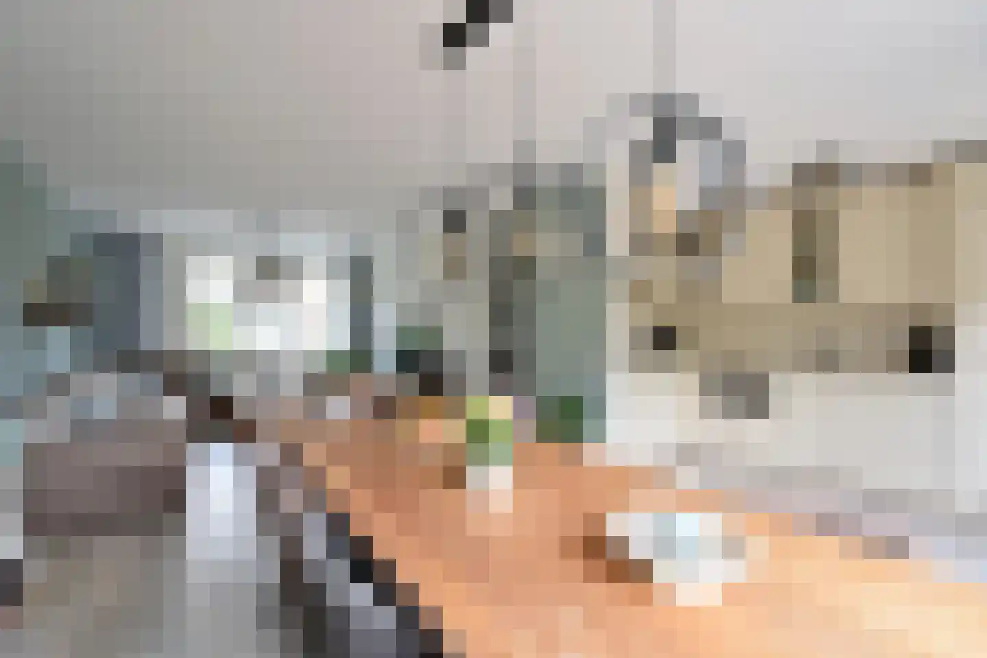 Eierlanden 69 Huizen thumbnail 5
