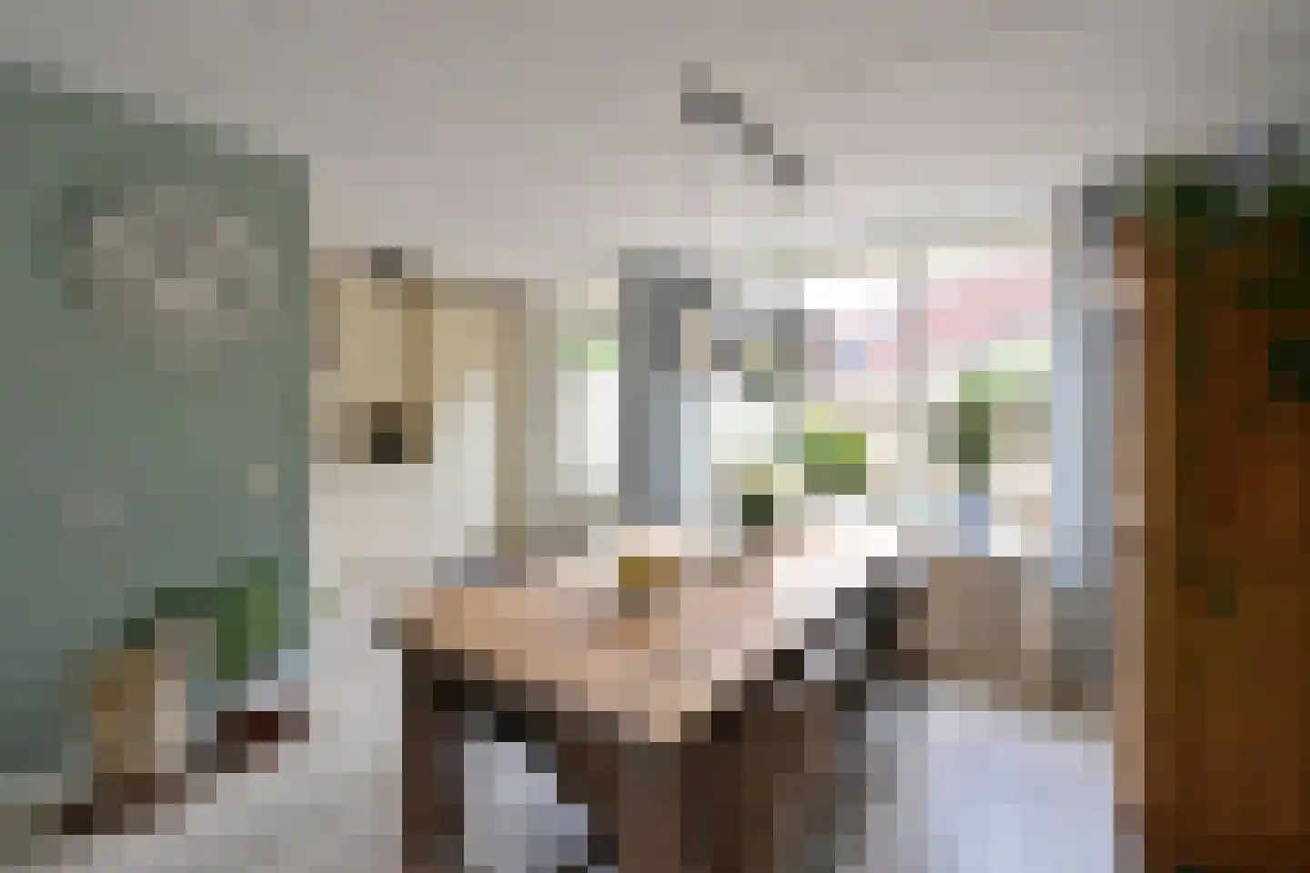 Eierlanden 69 Huizen thumbnail 6
