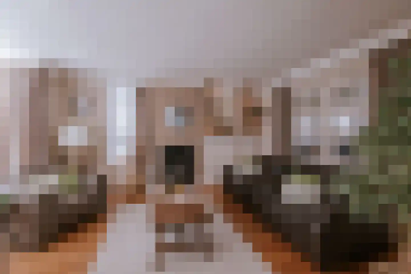Eiermarkt 28 Roermond thumbnail 15