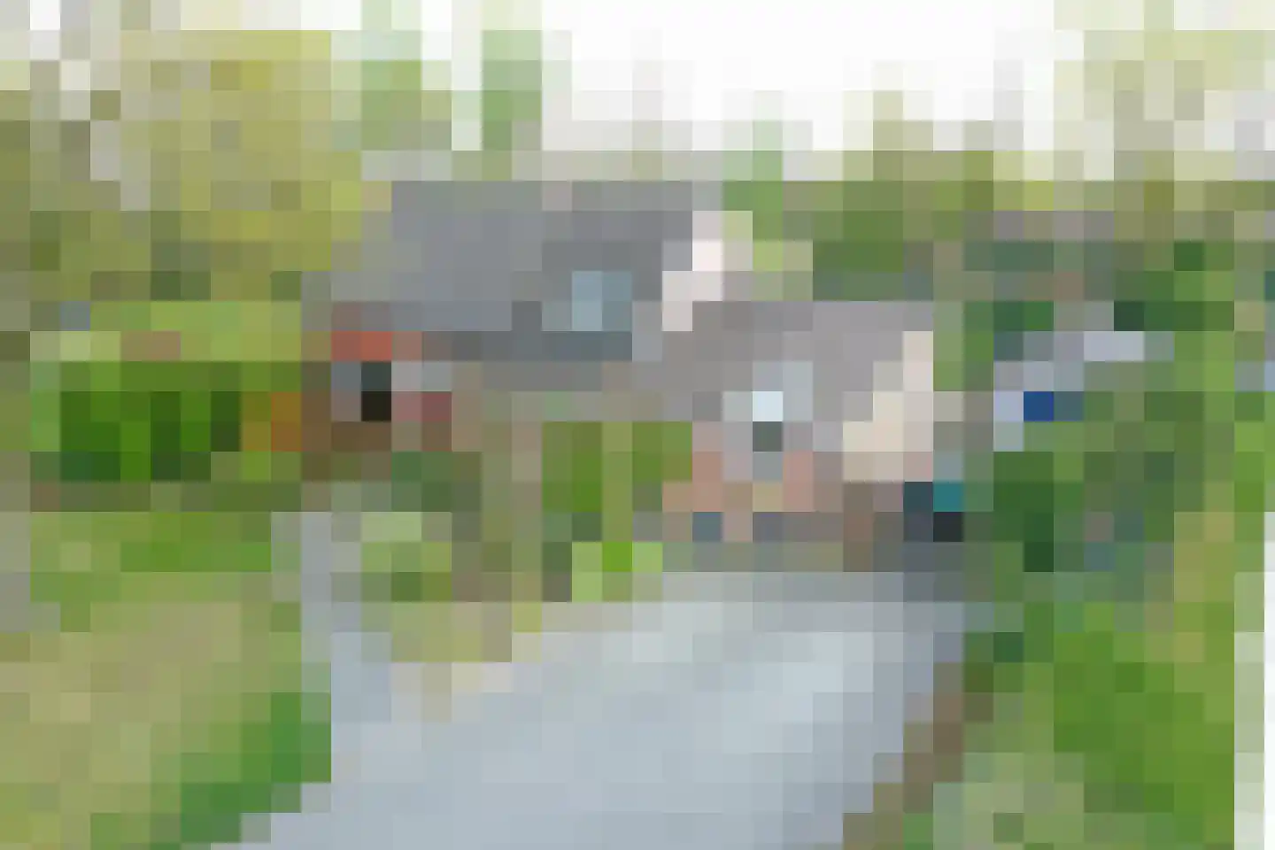 Eiermijndreef 1 a De Rips