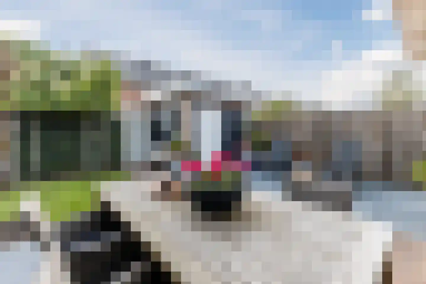 Eifel 19 Assendelft thumbnail 64