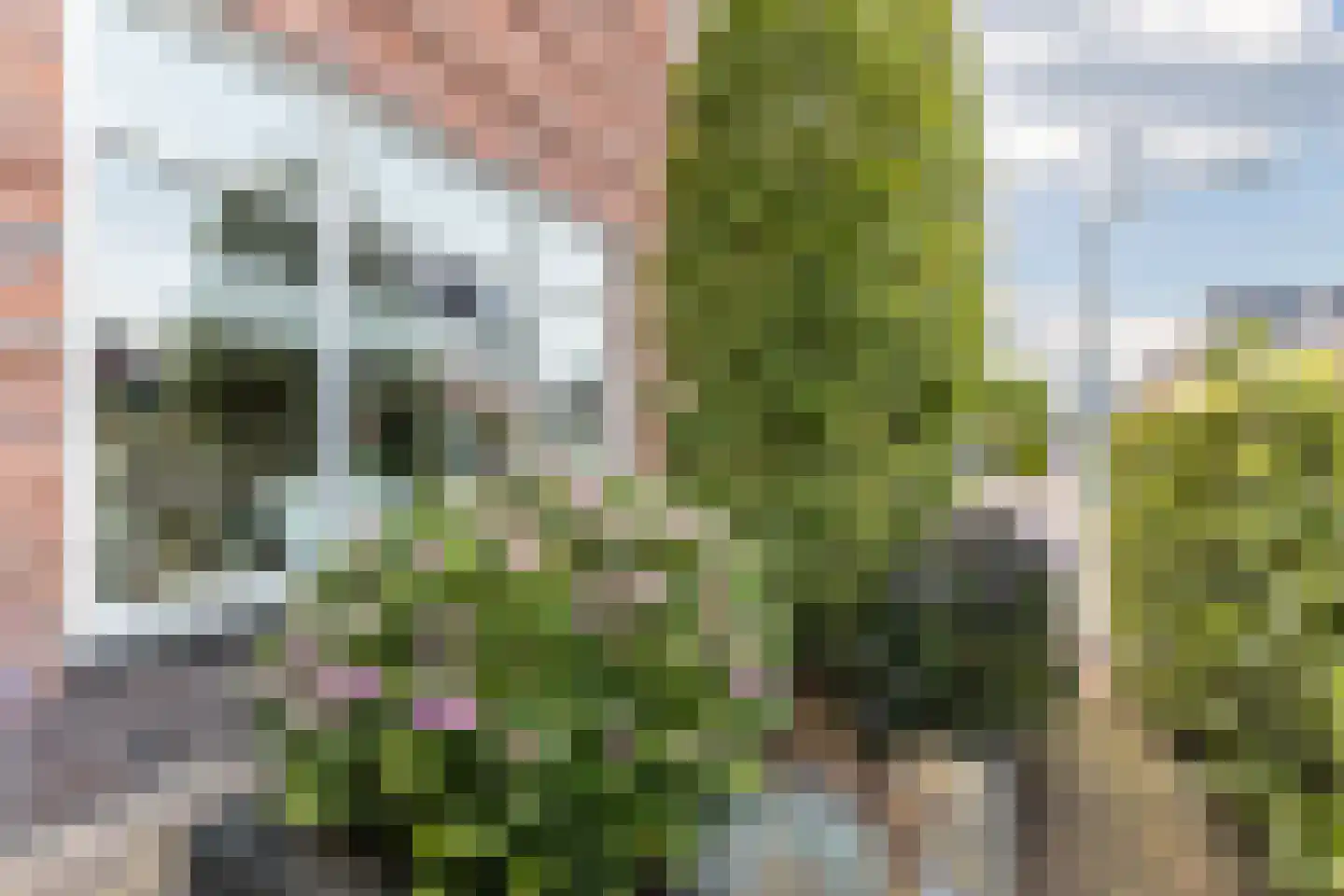 Eifel 19 Assendelft thumbnail 72