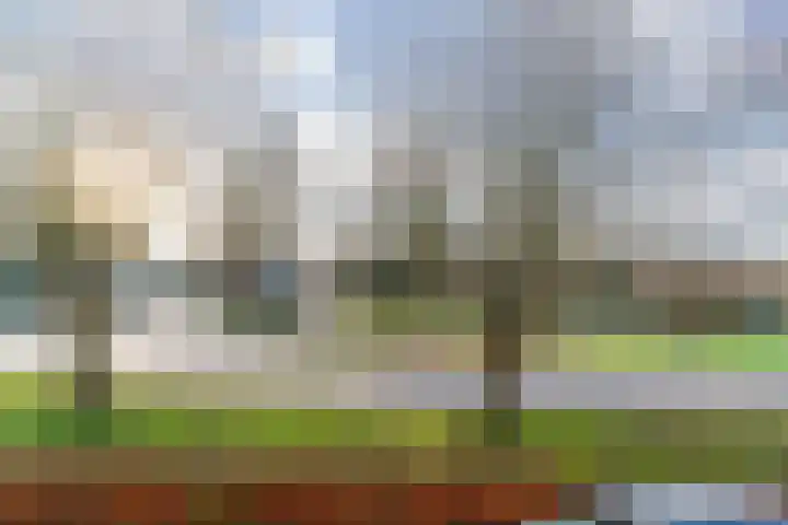 Eifel 20 Geleen thumbnail 31