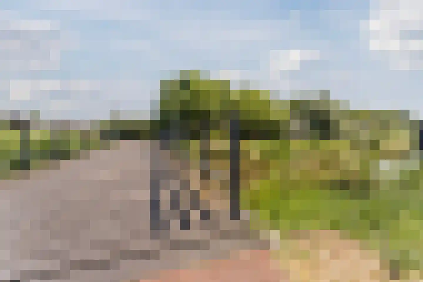 Eifel 29 Assendelft thumbnail 62