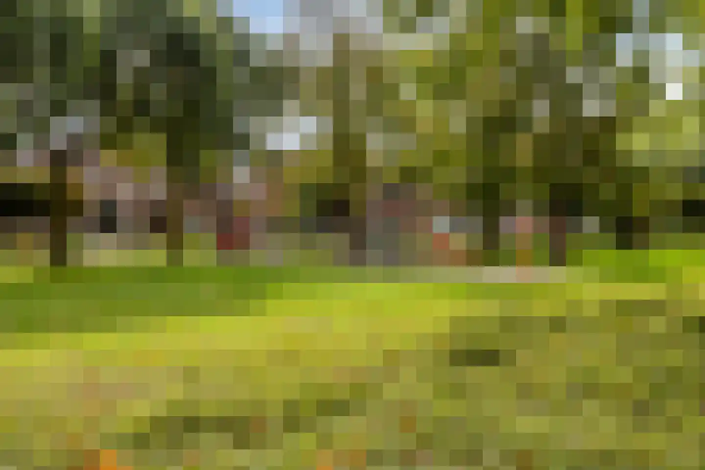 Eifel 41 Helmond thumbnail 42