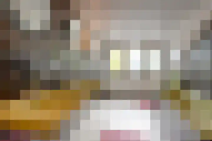 Eifellaan 14 Venray thumbnail 20